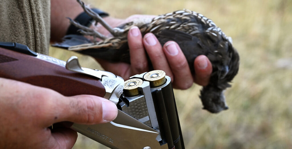 best choke and shot size for pheasant