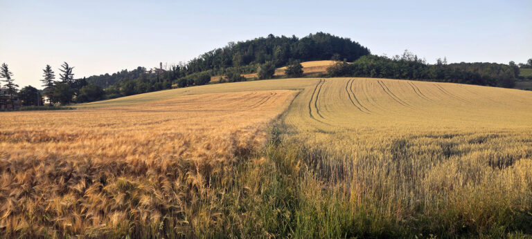 Midwest vacant land for rent