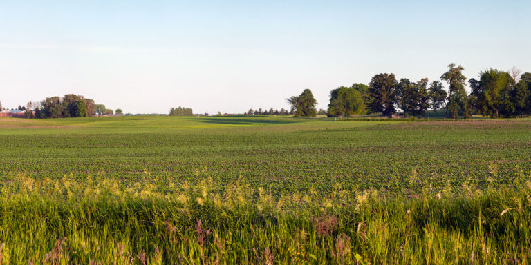 Hunting private land green field minnesota