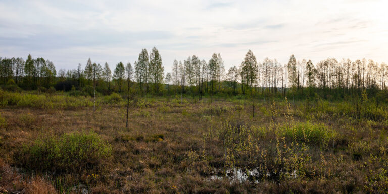 alabama field and forest for private hunting