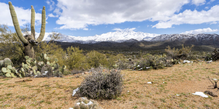 arizona private land hunting