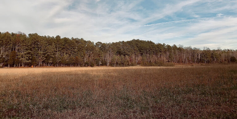 hunting in georgia state field and forest on private land