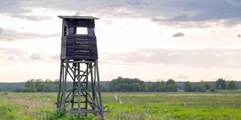 hunting stand in kentucky private land