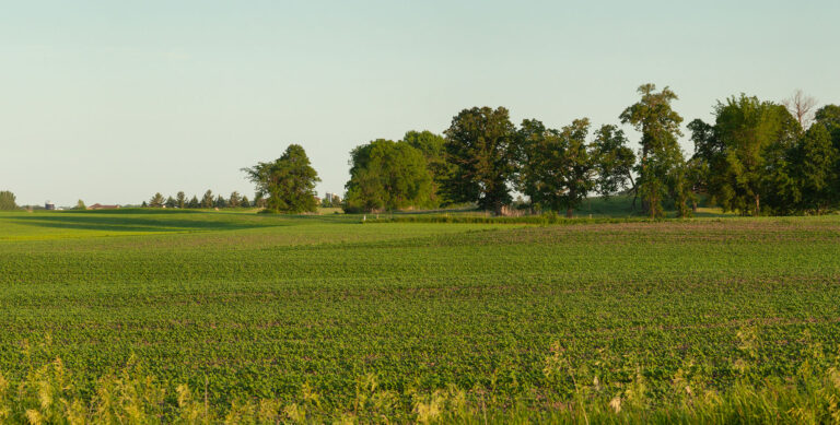 indiana field private hunting land