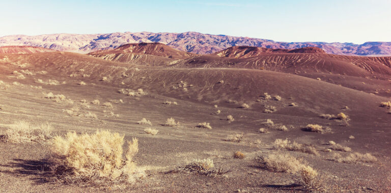 nevada private land hunting