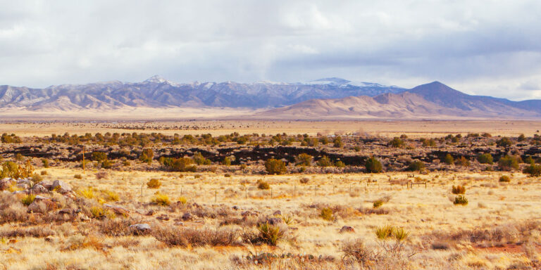 new mexico hunting on private land