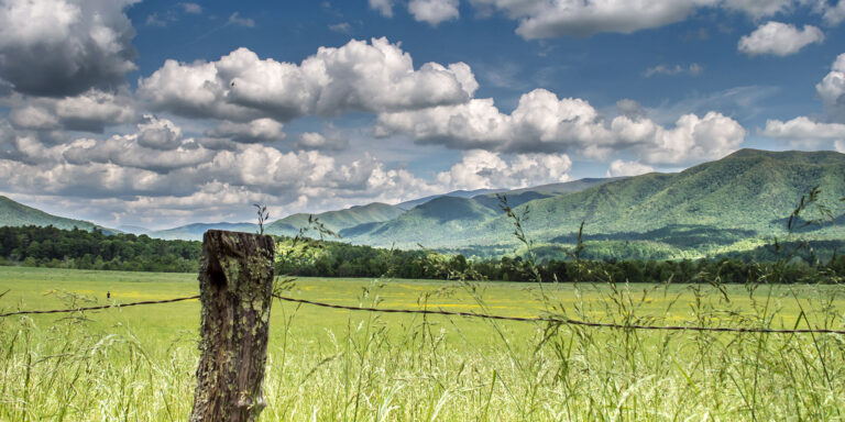 smokey mountains tennessee private land hunting