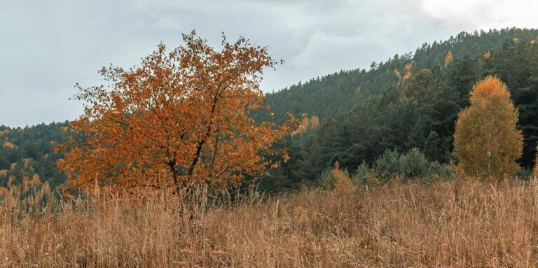 Alaska private land hunting