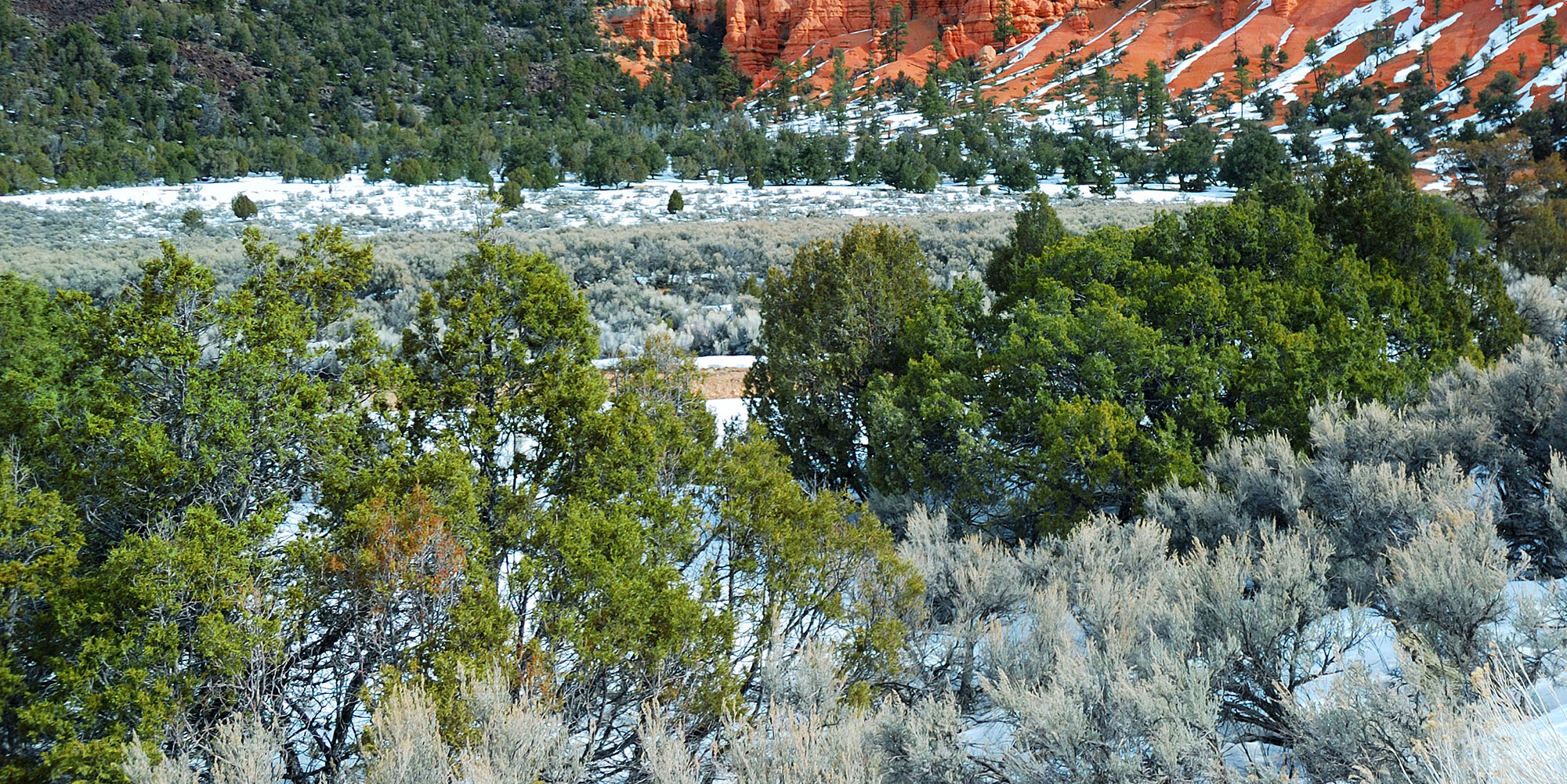 Utah Hunting Seasons 2022 2023 Interactive List Utah Hunting Seasons 2022 2023 Interactive List