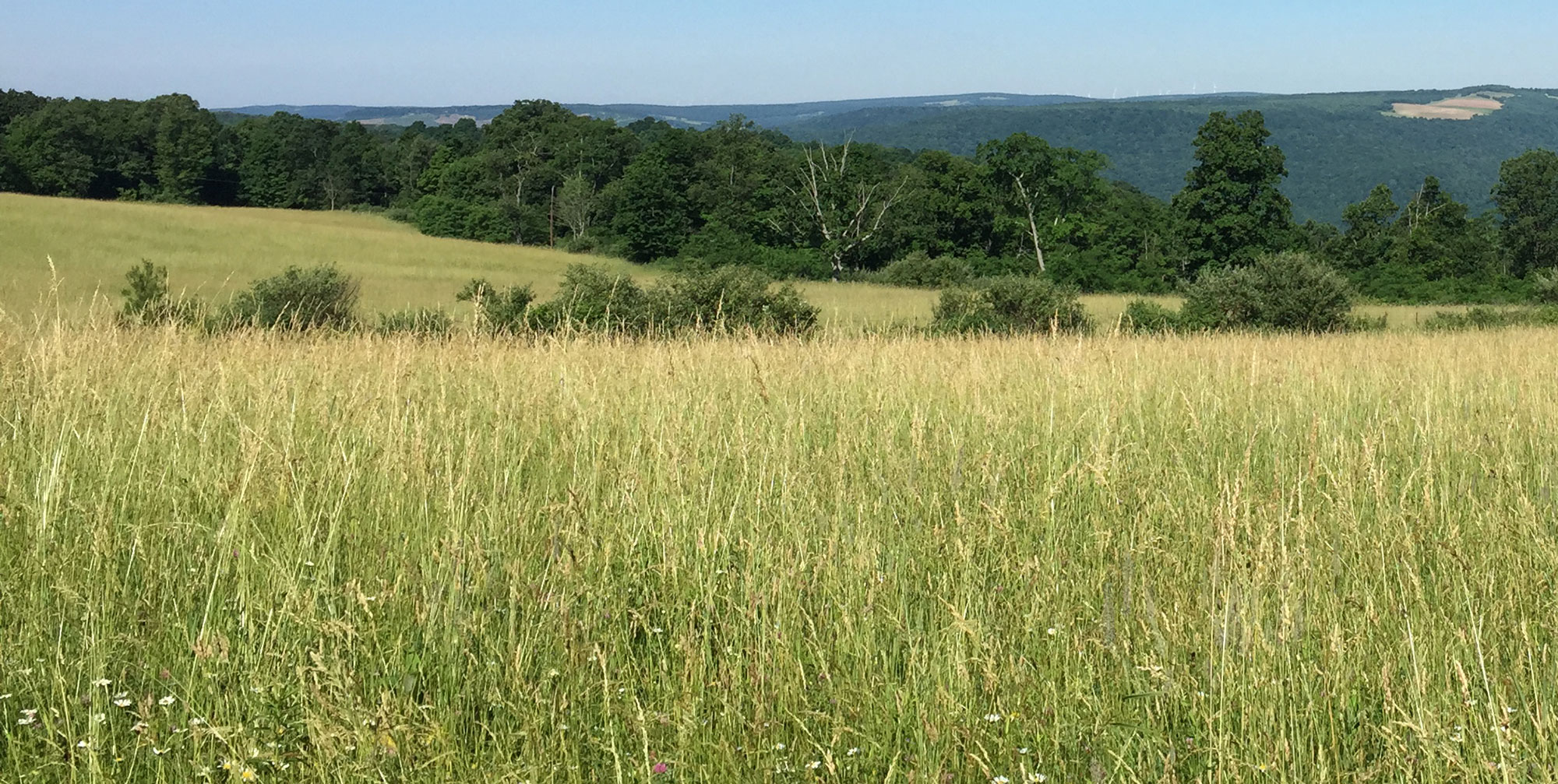 West Virginia Hunting Seasons 2022 2023 Interactive List West Virginia Hunting Seasons 2022 2023 Interactive List