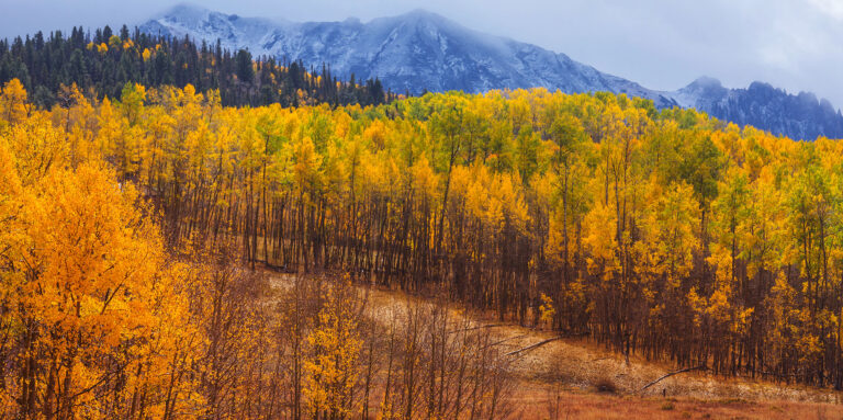 colorado aspen field hunting private land