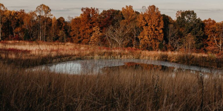 illinois private lake fishing