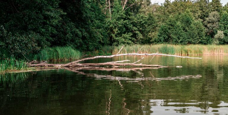 kansas private lake fishing