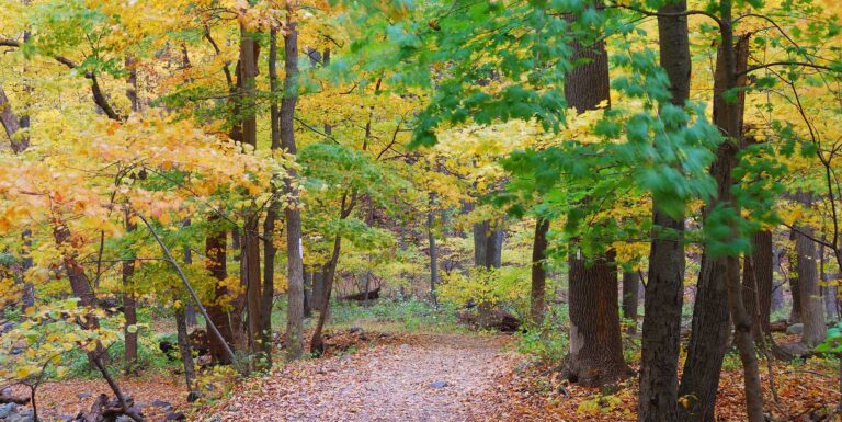 hunting in new jersey