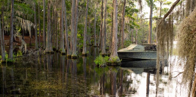 georgia state private lake fishing