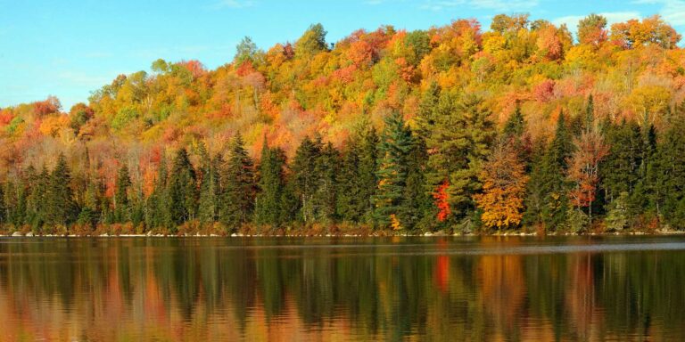 maine private lake fishing