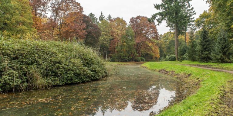 Arkansas Fishing Pond