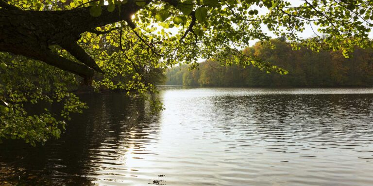 Minnesota Fishing Lake 1