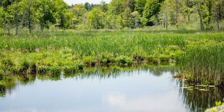 Rhode Island Fishing Pond