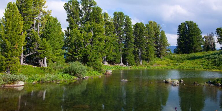 Winsconsin Fishing Lake