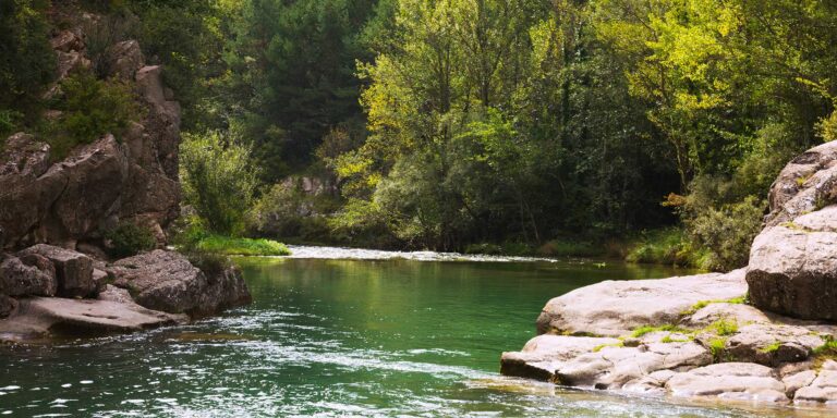 Wyoming Fishing River