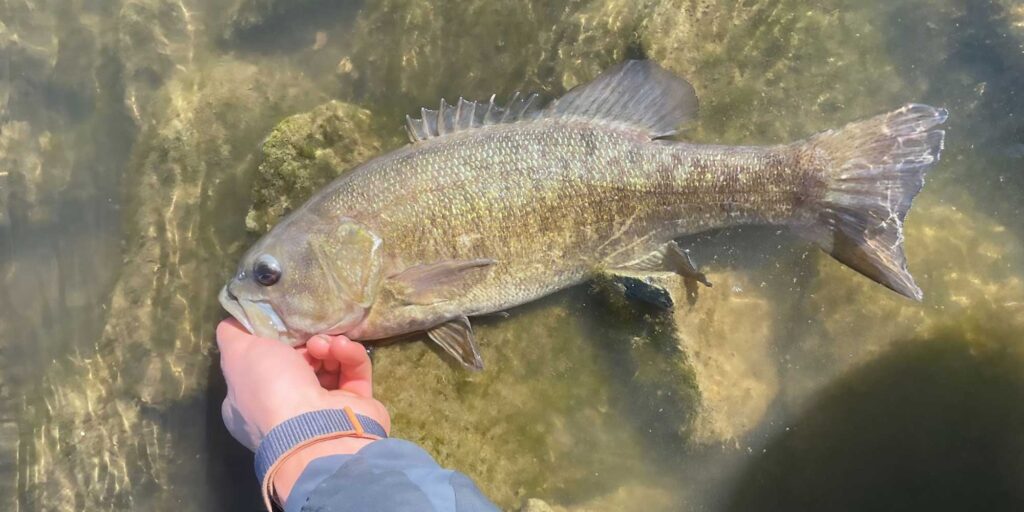 smallmouthbass fishing