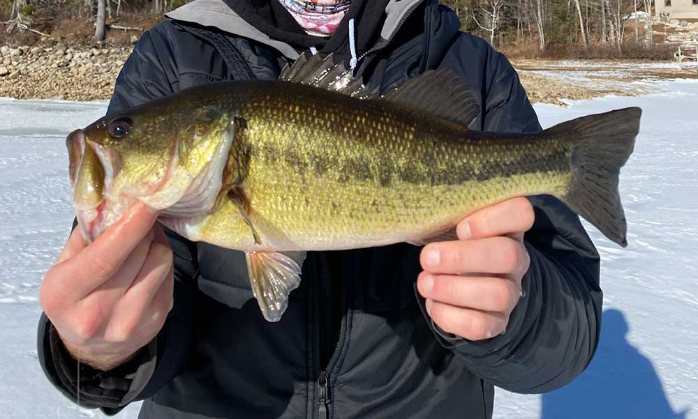 winter fishing bass