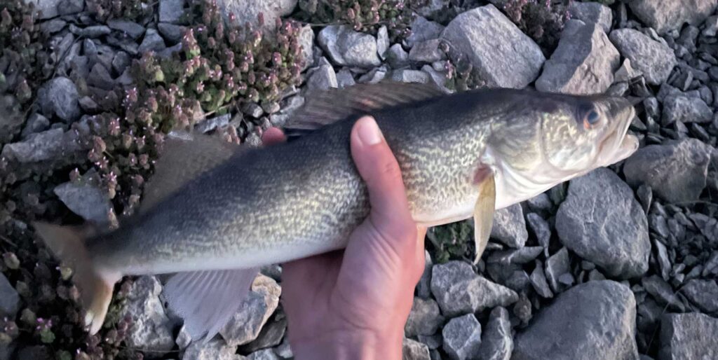 walleye fishing private lakes