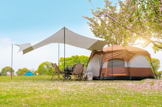 Tent pitched on a grassy field